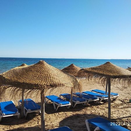 Tango Mango Apartment! Plaza 5 Min, Basen! Torrevieja Exterior photo