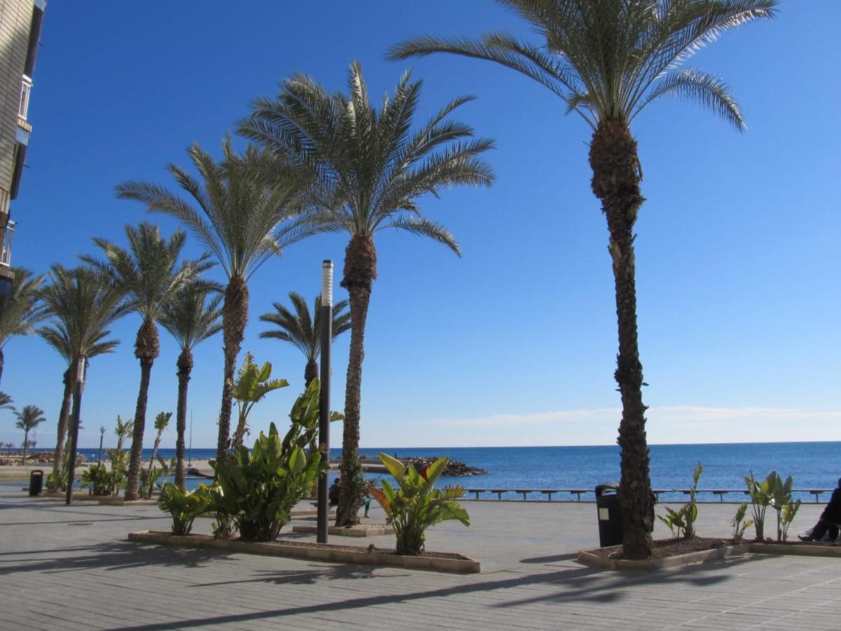 Tango Mango Apartment! Plaza 5 Min, Basen! Torrevieja Exterior photo