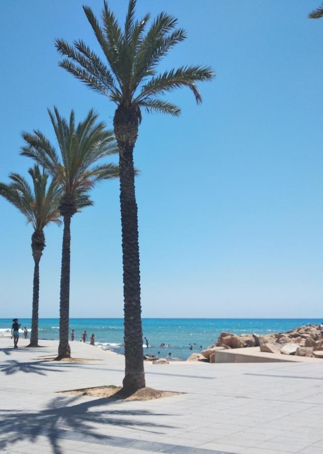 Tango Mango Apartment! Plaza 5 Min, Basen! Torrevieja Exterior photo